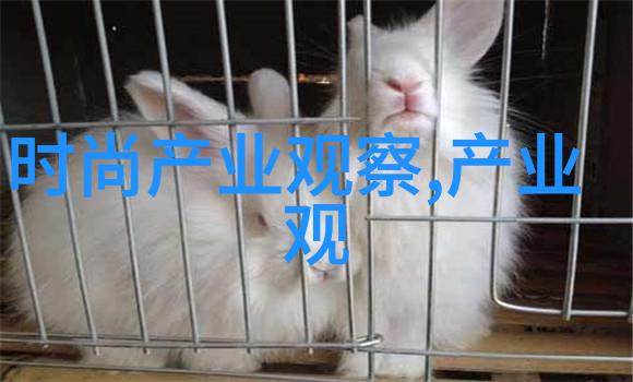 对于想要更新自己造型的人来说什么是最佳选择参考还是模仿这类2023年美发图片中的元素