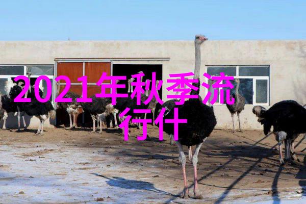 2021年最新发型对圆脸形态个体的审美影响研究