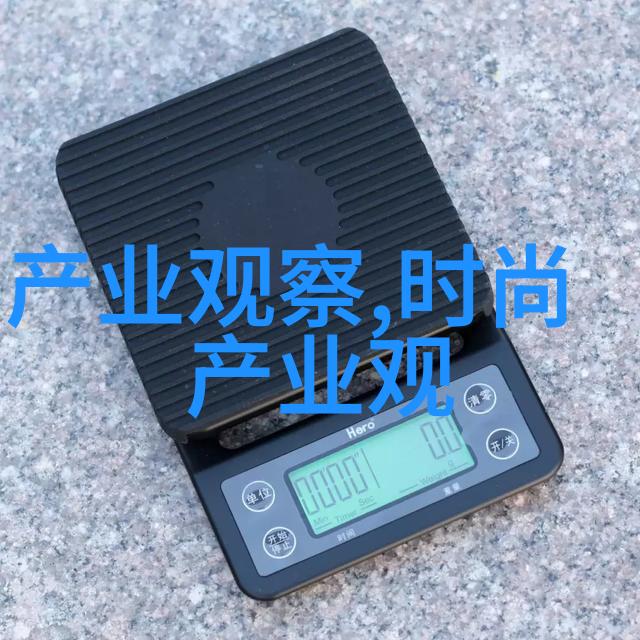 探索数字世界的边界深入理解se wyt技术背后的奥秘