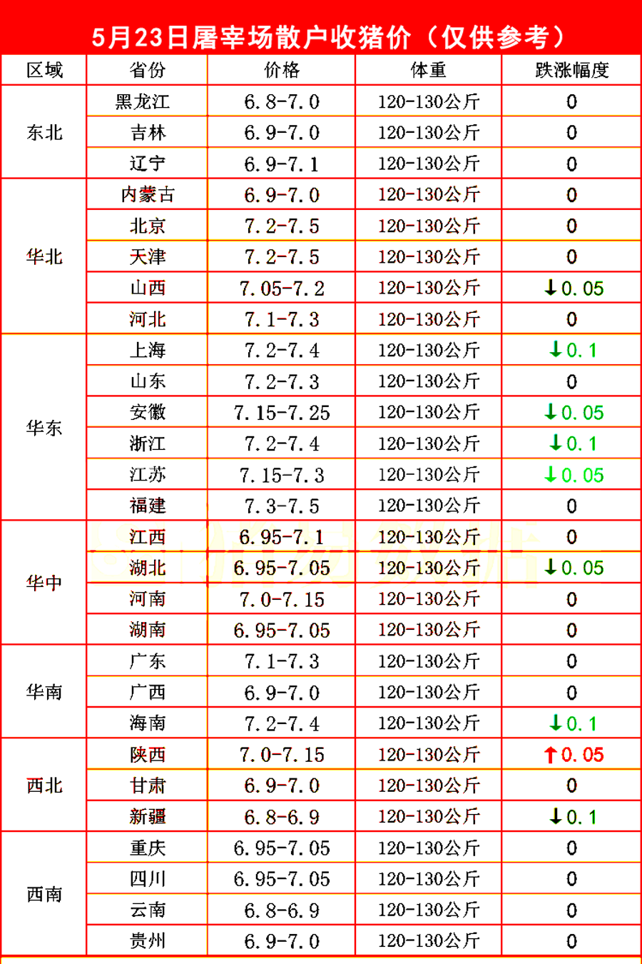 女生发型艺术从波浪到平头探索时尚新趋势