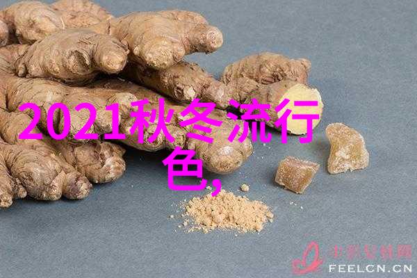 嫁时衣婚纱的美丽与传统