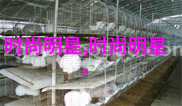 蒋欣与时尚的完美融合探索她的时尚风格