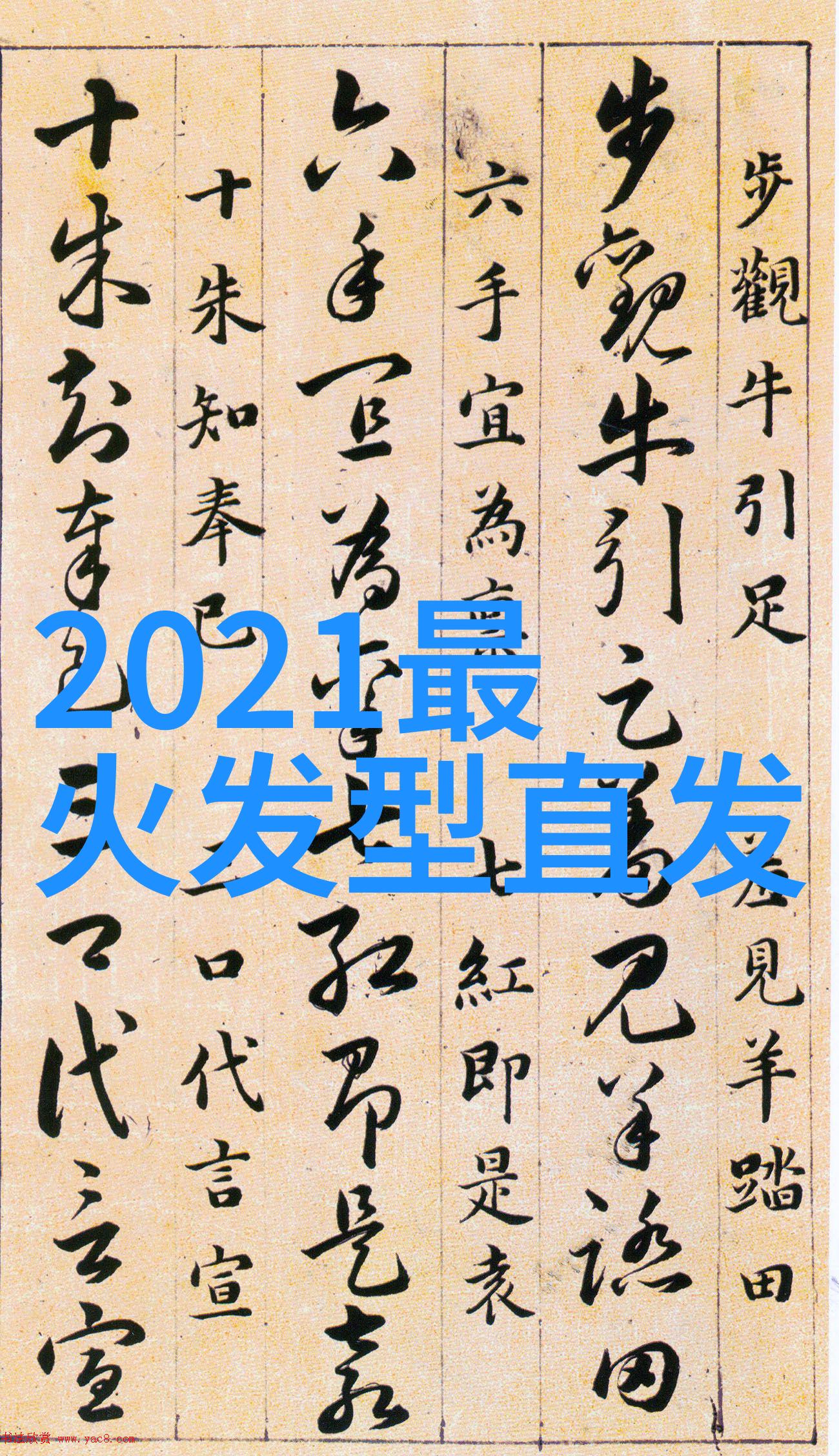 忘忧草跨国情缘的编织