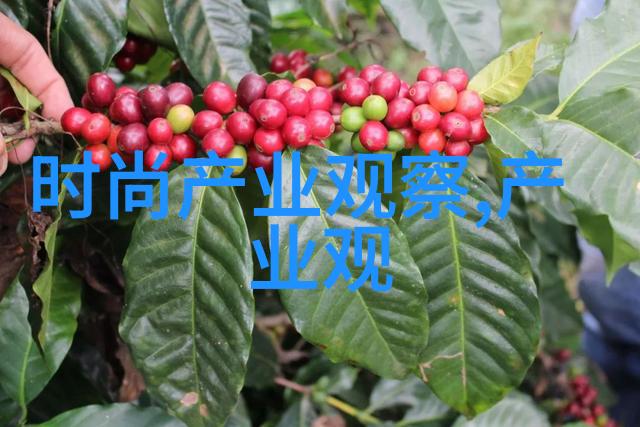 种子中的朴妮唛回忆与未来交织的故事