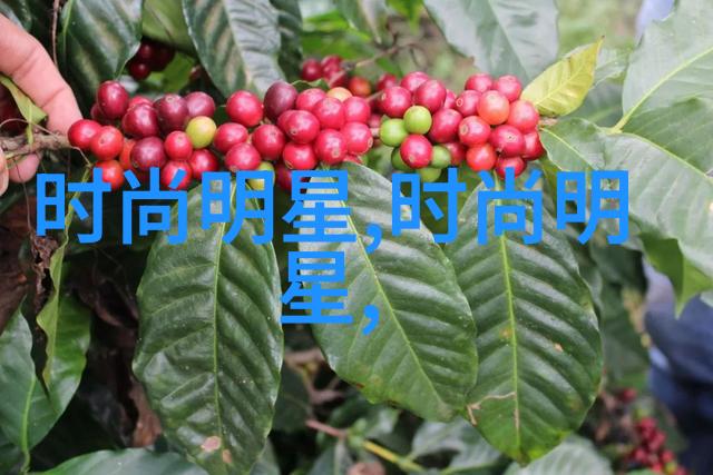 不可见的痛苦揭露25岁以上听不到声音群体面临的问题