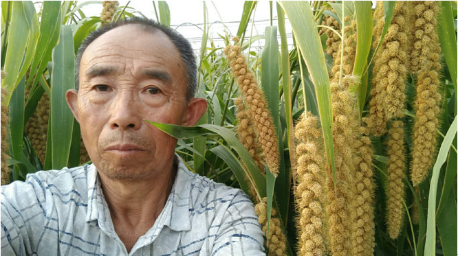 张嘉译演员张嘉译的艺术生涯
