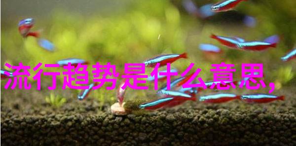 有没有一种特殊的烹饪方法可以让蛇瓜变得更加美味