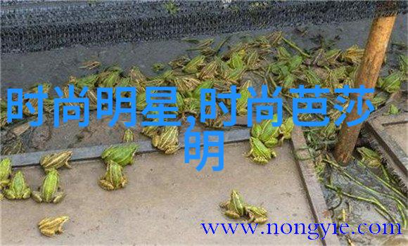 角斗士2引领经典美国电影风潮 勇者在社会斗争中浴血奋战怒吼回响