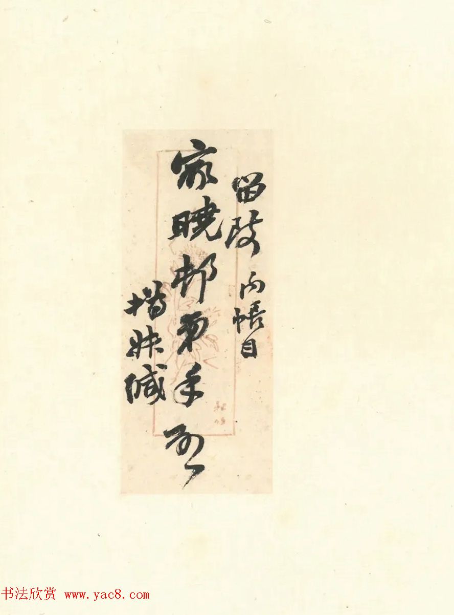 迪亚多纳时尚界的新宠儿  UNISEX优捷思打造无性别快节奏生活的完美搭档