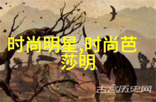 霸道帝王的宠儿权力的柔情