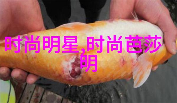 回眸一笑JQ起高科技奢华时尚