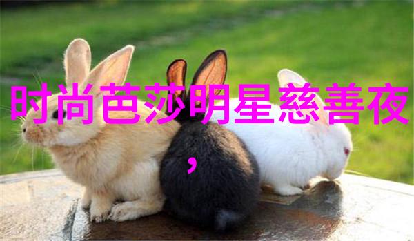 家中DIY勇敢的女人自学剪短发之旅