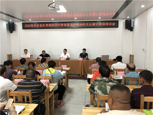 色彩搭配技巧与实用心得探索最新一季女性头饰搭配技巧及图片展示
