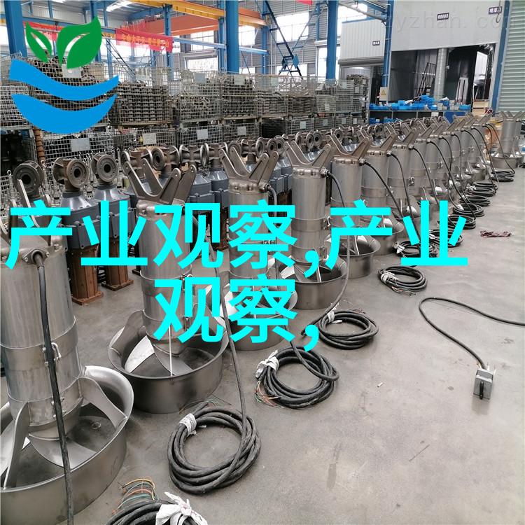 软刺玫瑰花语表达深情的独特方式