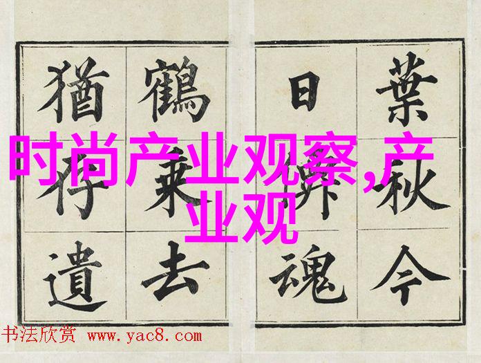 将创意转化为专业技能揭秘如何通过大量观看与实践学会每种类型的新颖模特作品与详细步骤说明