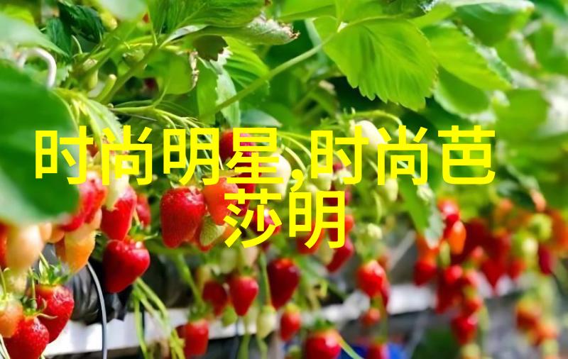 夏季男生时尚穿搭指南轻盈舒适风格不减