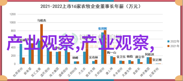 探索Clamp仙境的奇幻世界从魔法少女小圆到HOLIC