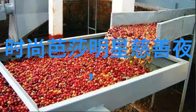 bb霜保养秘籍揭秘如何选用适合自己的日常防晒产品