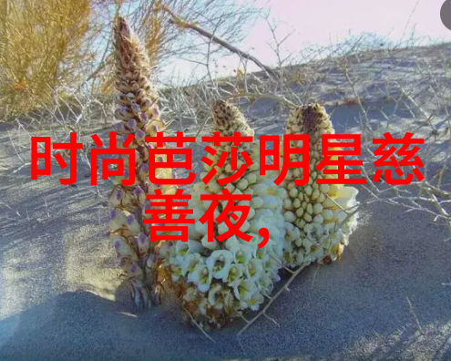 美发课程软件下载精准学习新技能