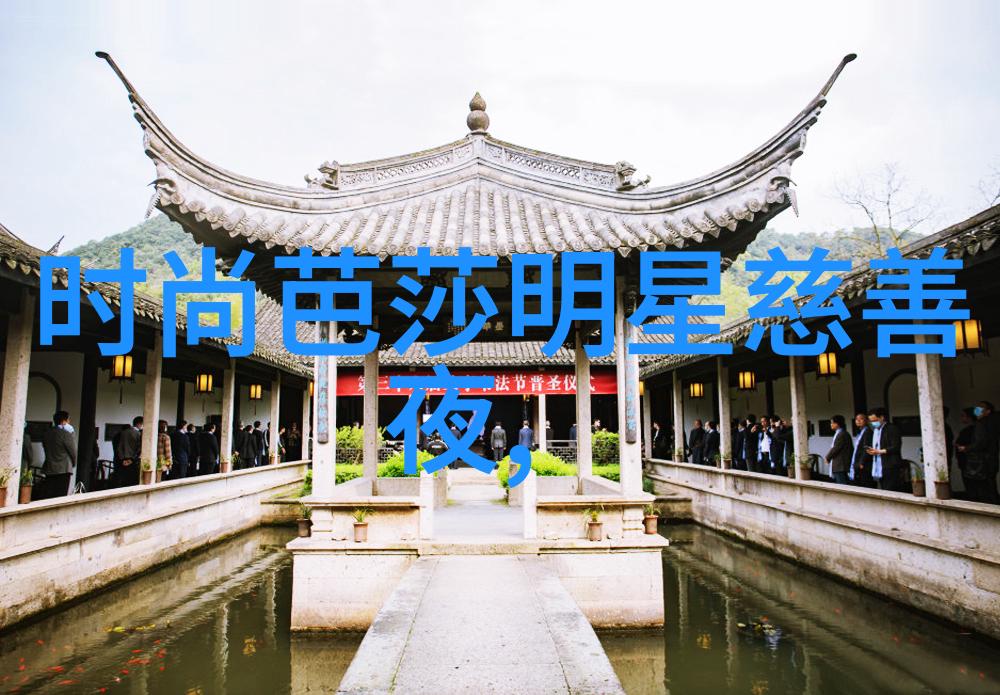 娱乐圈逆袭下岗皇后重燃星光从普通职工到娱乐界新宠