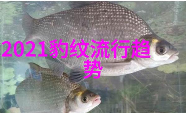 虚空商街360shop的秘密