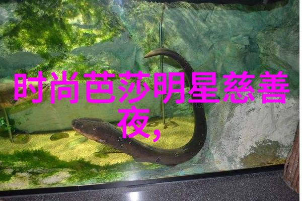 数字迷雾九零后的回声