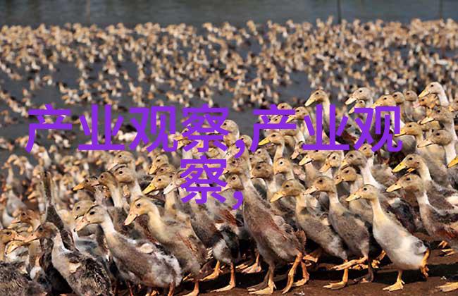 时尚界的新宠儿2023年的超短发风格解析与推荐