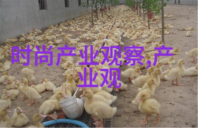 隐入烟尘免费完整版揭秘古老世界的神秘与变迁