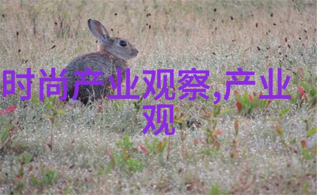 中长发男孩造型指南如何选择适合自己的风格