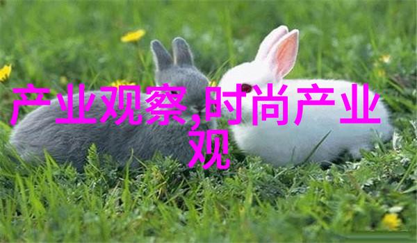 甜蜜的梦境被浓浆灌溉的公主与她的奇幻王国