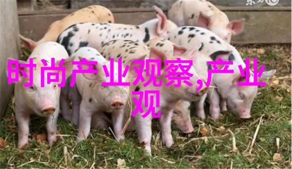 漫画 - 瓦伦蒂诺黑暗骑士的故事