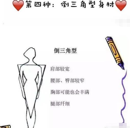 爬爬人类的奇迹与挑战