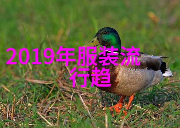 国货真自强拼多多121元的上官喆配色ANTA百搭老爹鞋男士穿搭配衣服软件助力打造完美时尚场景