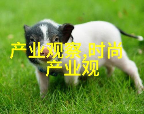 温香软玉探索人生与爱情的深邃篇章