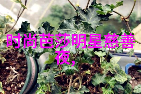 男士休闲时尚探索完美衬衫的艺术