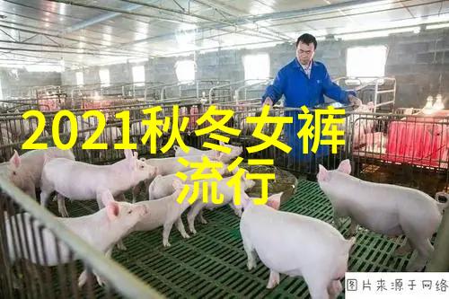 染发调色基础知识-掌握色彩艺术从基色选择到终极染发效果