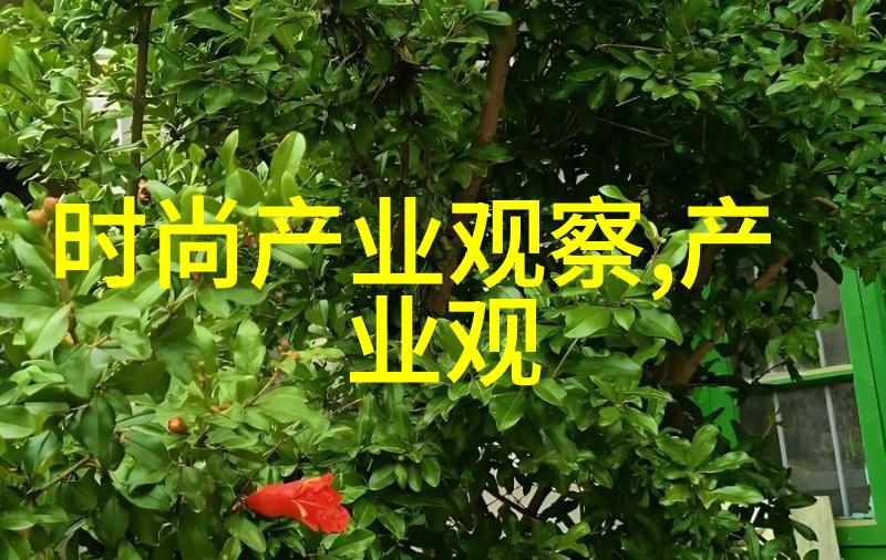 男士搭配神器探索这款app如何完美解锁你的着装风格