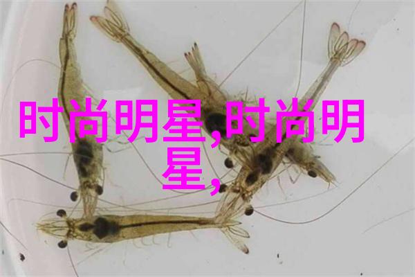 板栗-秋天的果实品味着木质香甜的回忆