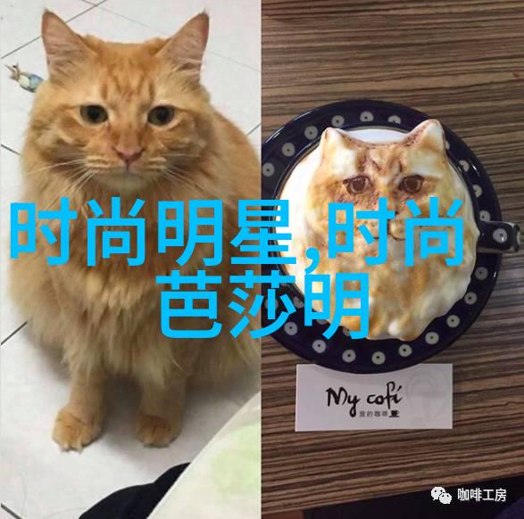 背着书包的时尚侦探揭秘初中男生服装搭配的谜团