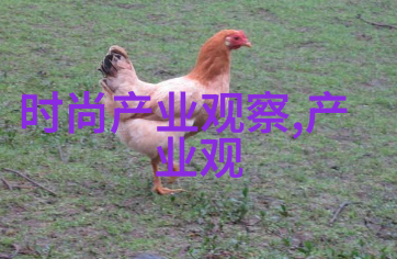 发型大师解密2022年女孩减龄美学新趋势