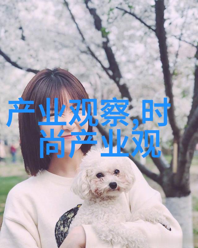 6岁小帅哥的发型创意