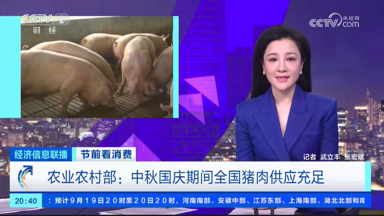 重生之首领的小媳妇逆袭的婚姻故事