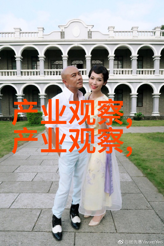 追逐梦想的步伐寻找最佳野王的旅程