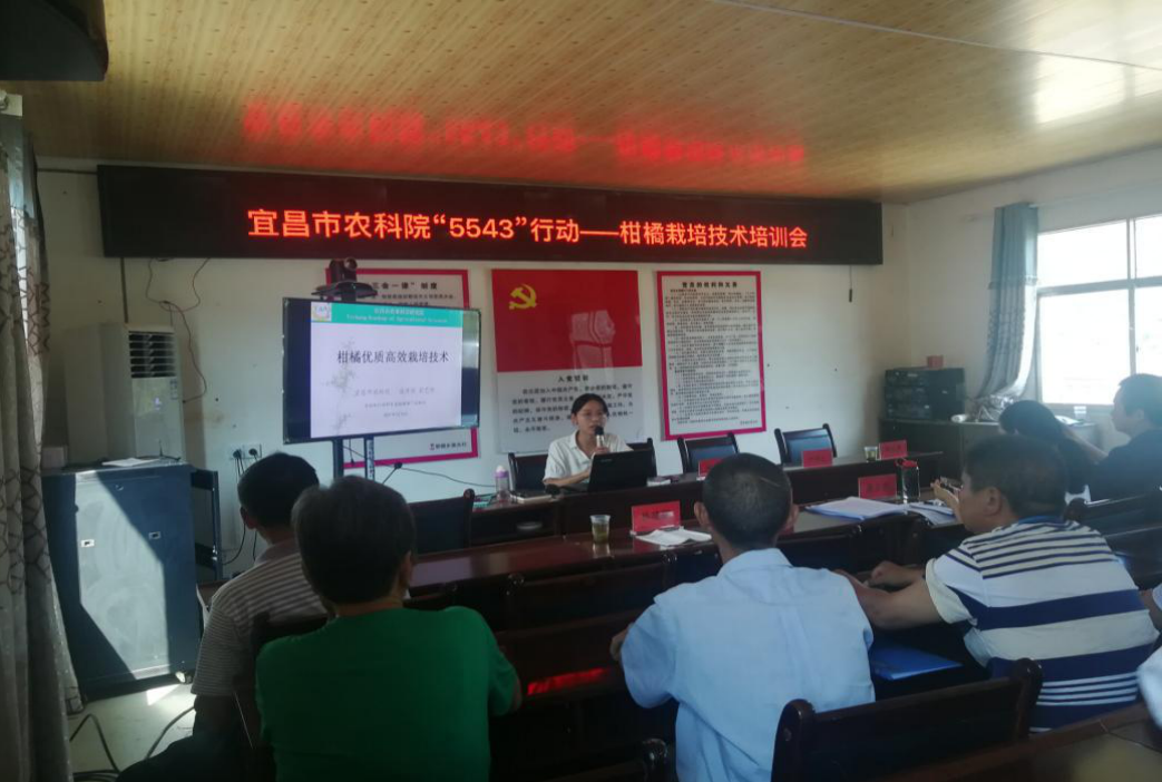 西域之战大秦帝国的边疆挑战与胜利