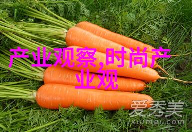 别墅轮换2攻略来点小技巧让你轻松玩转