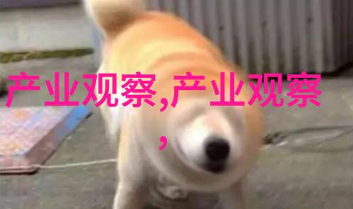 电子邮件革命如何有效利用Gmail提升工作效率