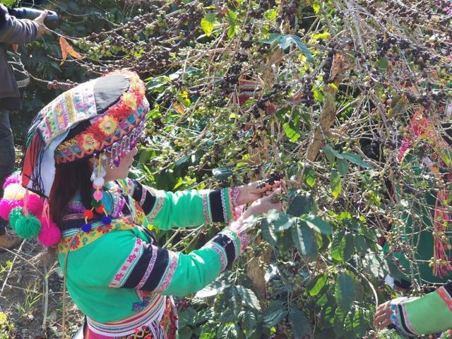 变身与友情-黑皮辣妹的樱花同行未增删的美丽旅程