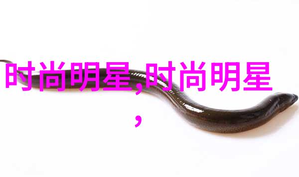 摘星2林笛儿音乐天赋的璀璨之光