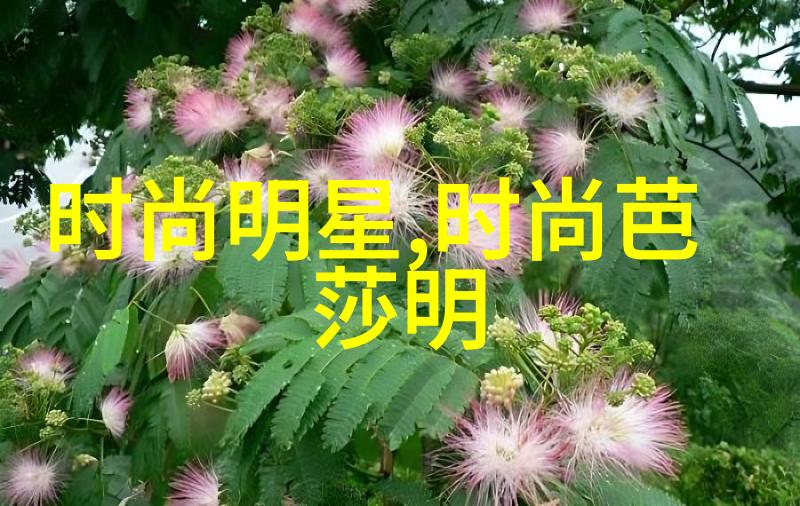 好看的编发中长发我眼中的美丽编织