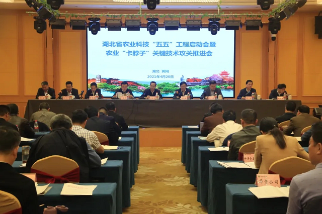单位组织的电影之夜年会不能停上海路演激发荒诞讽刺风潮真实社会新闻成为灵感源泉